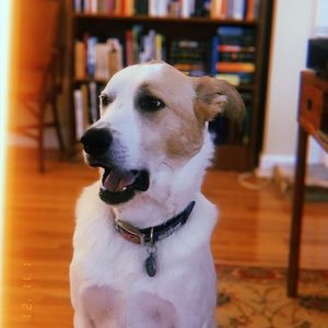 Meet your Posher, Nolan